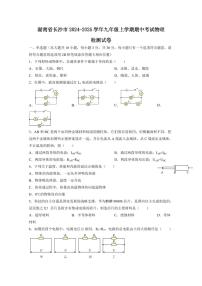 湖南省长沙市2024-2025学年九年级上学期期中考试物理检测试卷（含答案）