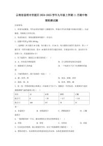云南省昆明市官渡区2024-2025学年九年级上学期11月期中物理检测试题（含答案）