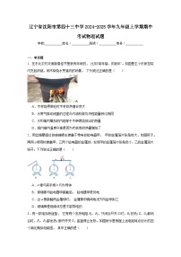 辽宁省沈阳市第四十三中学2024-2025学年九年级上学期期中考试物理试题