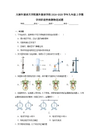 天津外国语大学附属外国语学校2024-2025学年九年级上学期学科阶段性检测物理试题