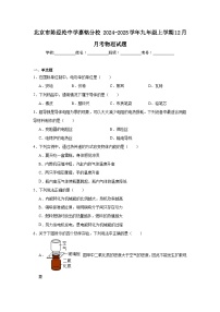 北京市陈经纶中学嘉铭分校2024-2025学年九年级上学期12月月考物理试题