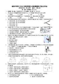 江苏省泰州中学附属初级中学2024-2025学年九年级上学期12月月考物理试题