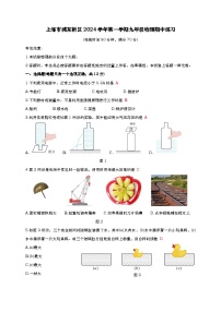 上海市浦东新区2024-2025学年九年级上学期期中考试物理试卷