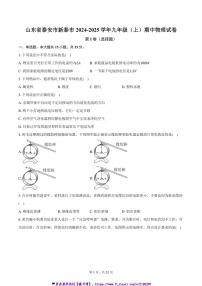 2024～2025学年山东省泰安市新泰市九年级(上)期中物理试卷(含解析)