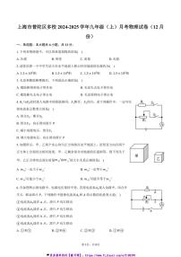 2024～2025学年上海市普陀区多校九年级(上)月考物理试卷(12月份)(含答案)