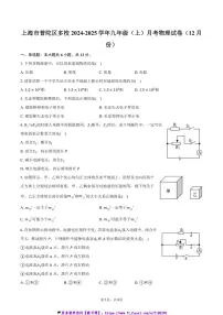 2024～2025学年上海市普陀区多校九年级(上)月考物理试卷(12月份)(含答案)