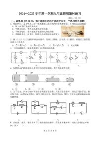 江苏省扬州市仪征实验中学东区2024-2025学年九年级上学期12月限时练习物理试题