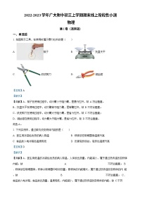 广东省广州大学附属中学2022-2023学年九年级上学期期末线上阶段性小测物理问卷（答案）