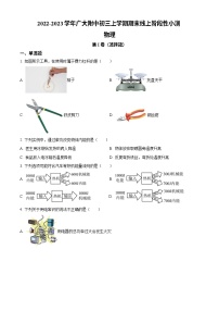 广东省广州大学附属中学2022-2023学年九年级上学期期末线上阶段性小测物理问卷