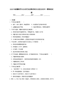 2025年新疆维吾尔自治区克孜勒苏柯尔克孜自治州中考一模物理试题