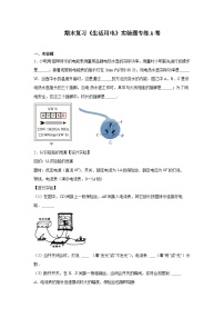 期末复习《生活用电》实验题专练试卷2024-2025学年人教版物理九年级（全一册）上学期-含答案