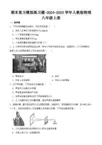 期末复习模拟练习题-2024-2025学年人教版物理八年级上册
