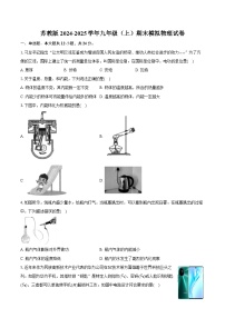 苏教版2024-2025学年九年级（上）期末模拟物理试卷（含答案）