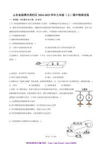 2024～2025学年山东省淄博市周村区九年级(上)期中物理试卷(含答案)