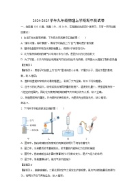 湖北省孝感市孝昌县2024-2025学年九年级（上）期中物理试卷（解析版）