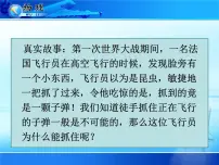 初中物理人教版（2024）八年级上册（2024）第2节 运动的描述教案配套ppt课件