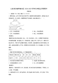 山东省济南市商河县2024-2025学年九年级（上）期中物理试卷（解析版）
