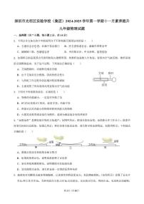 广东省深圳市光明区实验学校2024-2025学年九年级上学期11月素养提升物理试题