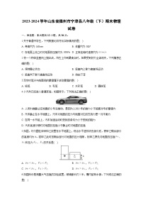 山东省德州市宁津县2023-2024学年八年级（下）期末物理+物理试卷
