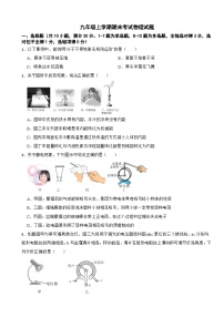 云南省玉溪市2024年九年级上学期期末考试物理试题含答案