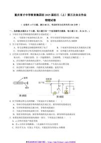 2024～2025学年重庆育才中学教育集团九年级上(三)月考物理试卷(含答案)