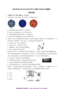 2024～2025学年湖北省武汉市硚口区九年级上元月调模拟物理试卷(含答案)