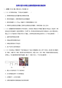 北师大版九年级上册物理期末模拟测试卷（含答案解析）