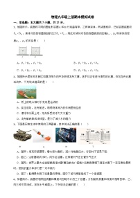 广东省中山市2024年物理九年级上册期末模拟试卷附答案