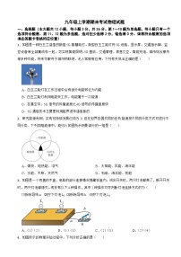 湖南省娄底市2024年九年级上学期期末考试物理试题附答案