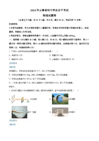 2024年云南省初中学业水平考试物理试题卷（解析版）