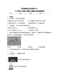 河北省邢台市任泽区2024-2025学年八年级上学期11月期中考试物理试卷(含答案)