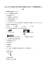 2024-2025学年黑龙江省大庆市杜尔伯特县八年级（上）期末物理试卷（A卷）
