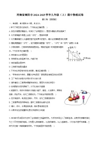 河南省南阳市2024-2025学年九年级（上）期中物理试卷（含答案）