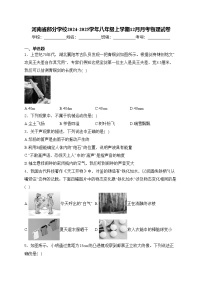 河南省部分学校2024-2025学年八年级上学期12月月考物理试卷(含答案)