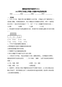 湖南省岳阳市临湘市2024-2025学年八年级上学期11月期中考试物理试卷(含答案)