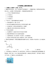 广西北海市2024年九年级物理上册期末模拟试卷附参考答案