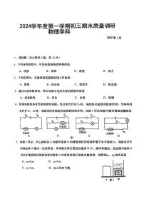 上海市金山区2024-2025学年九年级上学期期末考试（一模）物理试卷