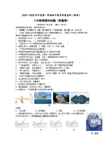 海南省琼海市2024-2025学年八年级上学期期末教学质量监测物理试题