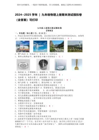 2024~2025学年 九年级物理上册期末测试模拟卷（含答案）