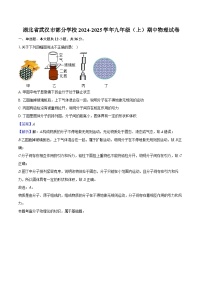 湖北省武汉市部分学校2024-2025学年九年级（上）期中物理试卷（含解析）