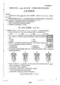 陕西省渭南市韩城市2024-2025学年九年级上学期期末考试物理试题