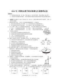 湖南省岳阳市2024-2025学年九年级上学期物理期末试卷
