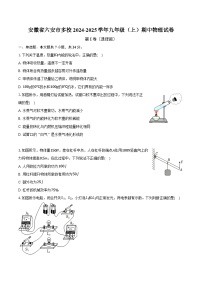 安徽省六安市多校2024-2025学年九年级（上）期中物理试卷（解析版）
