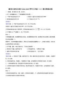 黑龙江省哈尔滨市2024-2025学年九年级（上）期末物理试卷（解析版）