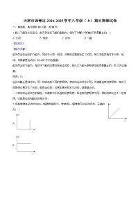 天津市西青区2024-2025学年八年级（上）期末物理试卷-（解析版）