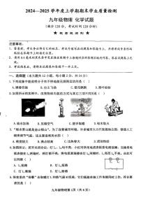 湖北省襄阳市枣阳市2024-2025学年九年级上学期1月期末物理试题