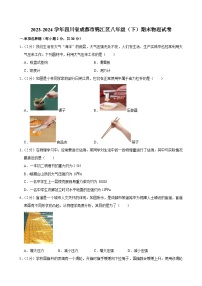 2023-2024学年四川省成都市锦江区八年级（下）期末物理试卷