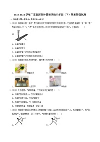 2023-2024学年广东省深圳外国语学校八年级（下）期末物理试卷