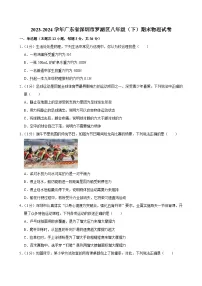 2023-2024学年广东省深圳市罗湖区八年级（下）期末物理试卷
