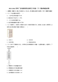 2023-2024学年广东省深圳市龙华区八年级（下）期末物理试卷